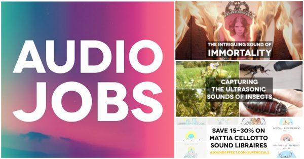Audio Jobs